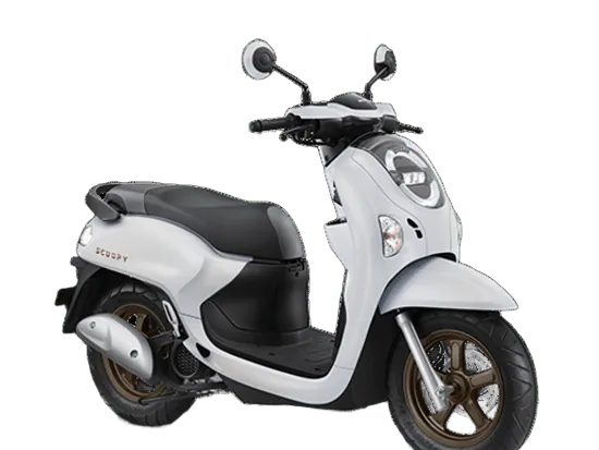 New Scoopy