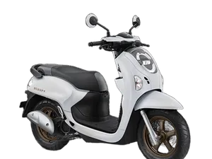 New Scoopy